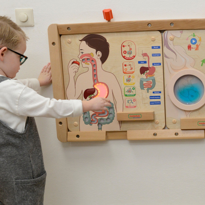 MASTERKIDZ Tablica Edukacyjna Układ Trawienny Montessori