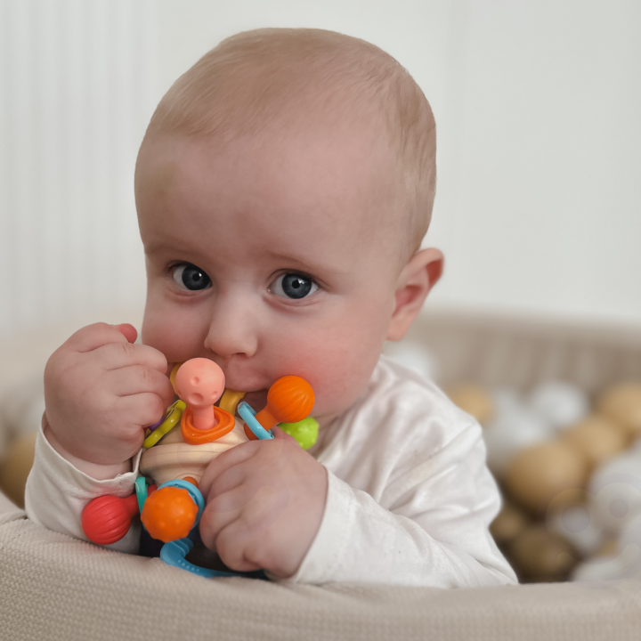 WOOPIE BABY Miękka Grzechotka 2w1 Gryzak Zabawka Sensoryczna dla Niemo