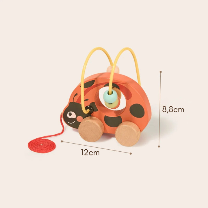 
						TOOKY TOY Zestaw Biedronka do Zabawy Rozwojowej 3w1
					