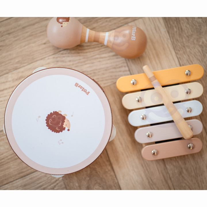 
						VIGA PolarB Zestaw Instrumentów Muzycznych Z Jeżykiem
					
